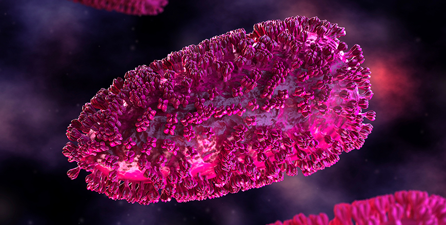Des virus modifiés pour s’attaquer uniquement aux cellules cancéreuses