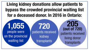 Living Kidney Graphic