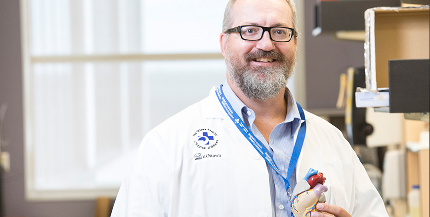 Lynn Megeney, Ph.D., scientifique principal, tient une réplique d’un cœur dans son laboratoire.