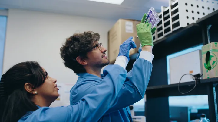 Researchers at The Ottawa Hospital