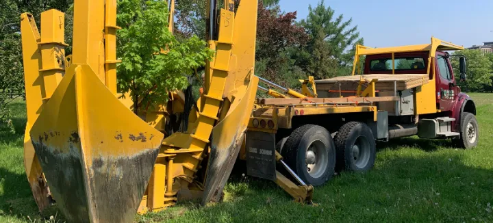 Tree relocation at the New Campus Development