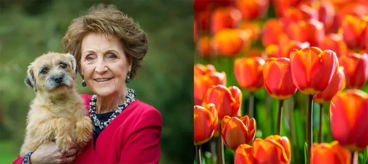 Regardez : La princesse Margriet des Pays-Bas nous a envoyé ce message vidéo amical à l’occasion du 100e anniversaire du Campus Civic.