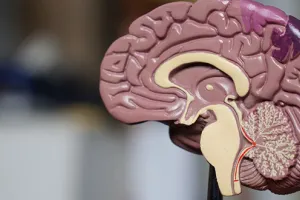 Chirurgie éveillée : réponses à vos questions