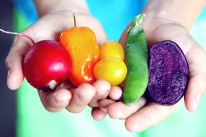 L’alimentation à base de plantes : conseils d’une diététiste