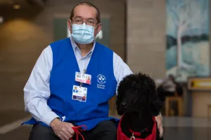 Chiens de thérapie : des amis poilus aux bienfaits prouvés par la science
