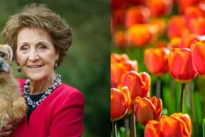 Regardez : La princesse Margriet des Pays-Bas nous a envoyé ce message vidéo amical à l’occasion du 100e anniversaire du Campus Civic.