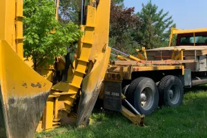 Déplacement d’arbres au nouveau campus