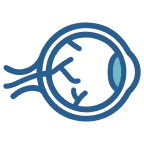 Icon Cornea
