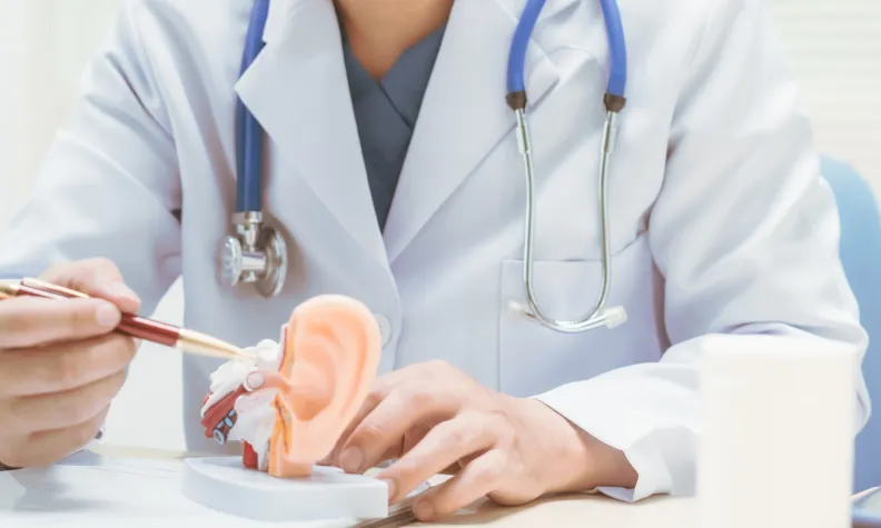 Un professionnel de la santé portant des lunettes et une blouse blanche utilise un stylo pour indiquer un détail sur un modèle de l’oreille humaine posé sur un bureau. Des documents médicaux, un stéthoscope, et une tasse de café sont à proximité. 