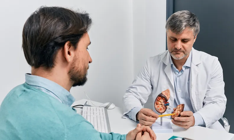 A doctor shows a patient a model of a prostate gland during a consultation in a medical office. Medical images and a clipboard are visible on the desk.