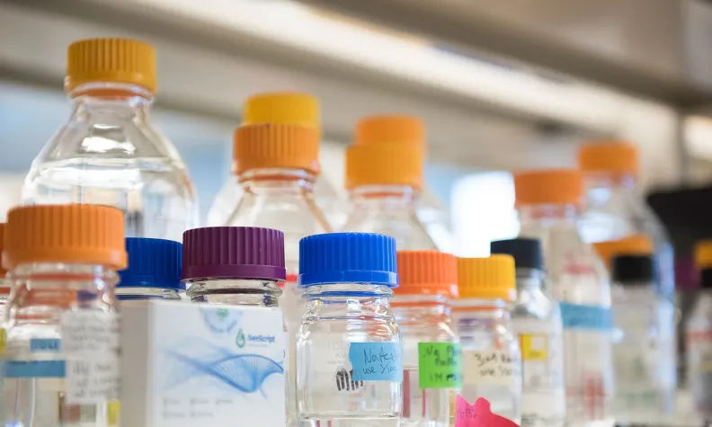 Des flacons de réactifs de laboratoire transparents, munis de bouchons à vis colorés (orange, bleu, violet), disposés sur une étagère.