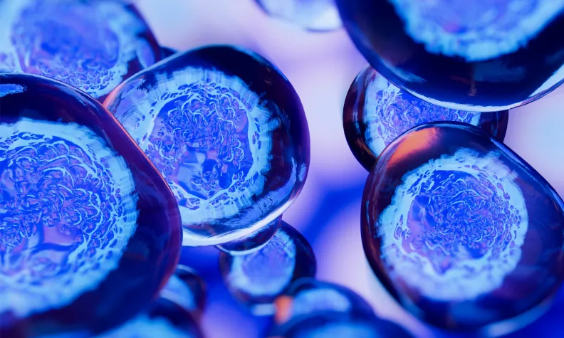 Close-up illustration of blue human cells floating against a blurred blue and pink background, showing detailed cell membranes and nuclei, representing biological or medical science.