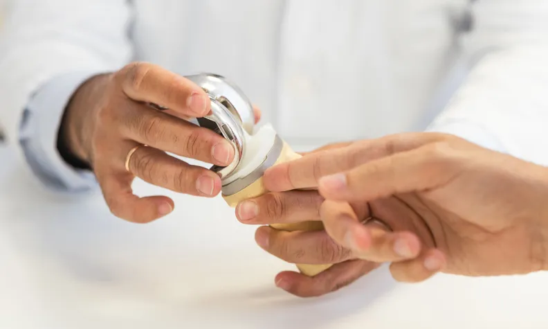 A healthcare professional holds a model of a knee joint and demonstrates how an artificial joint implant fits into place.