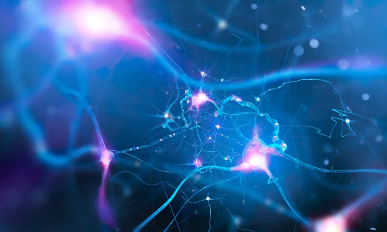 Illustration of interconnected neurons transmitting signals, representing the nervous system.
