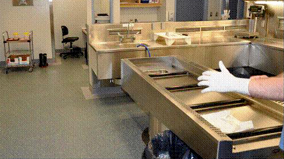 Forensic Pathology: More than just clever doctors solving murders