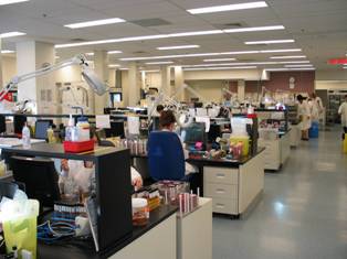 Microbiology Lab