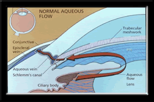 bigaqueous-e