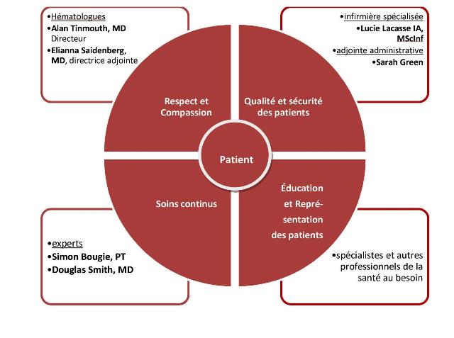 bleedingdisordersprogramdiagram_fr