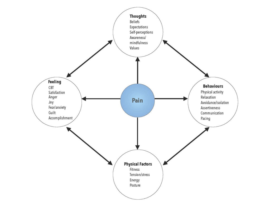 Cbt Activity Chart