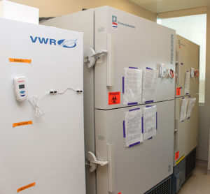 The older deep freezer