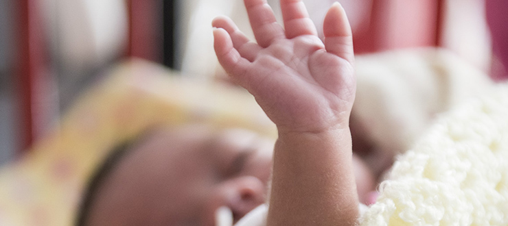 baby with little hand