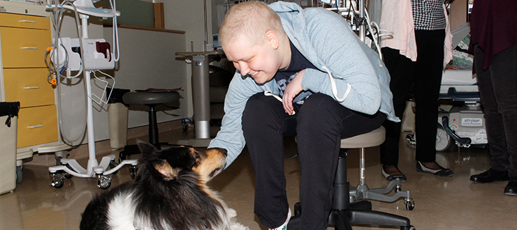 Nellie the therapy dog offers a welcome comfort to a patient