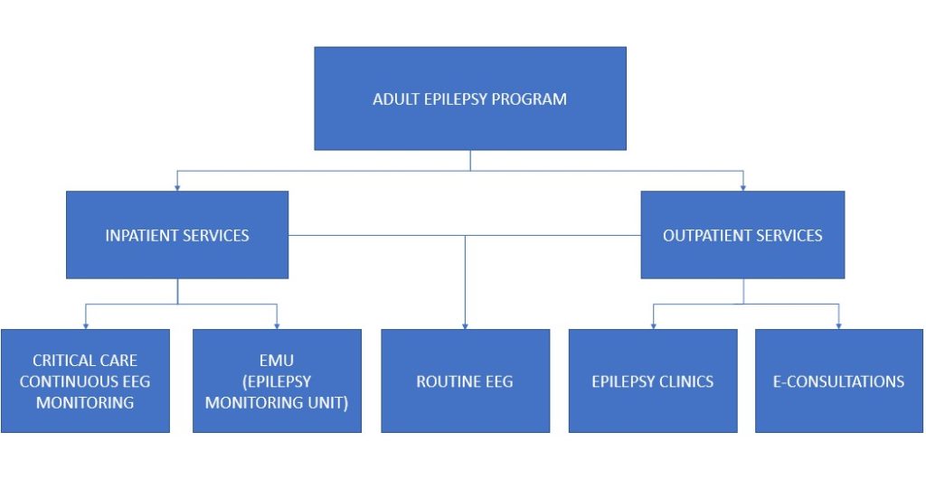 The Ottawa Hospital’s Adult Epilepsy Program organizational chart