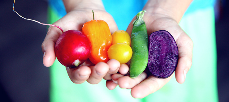 Hand full of vegetables