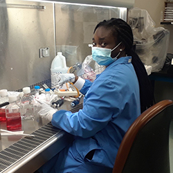Researcher Working With Tissue In Lab.jpg