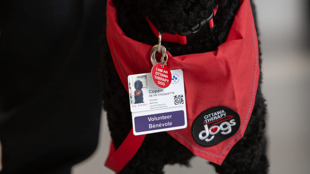 Copain’s volunteer badge and vest