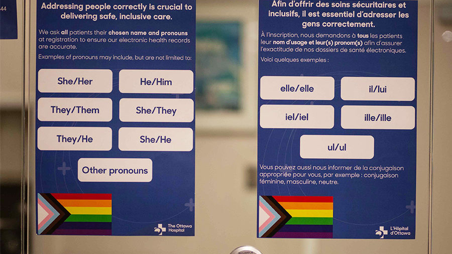 Posters explaining the meaning of pronouns