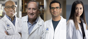 top researchers of 2022