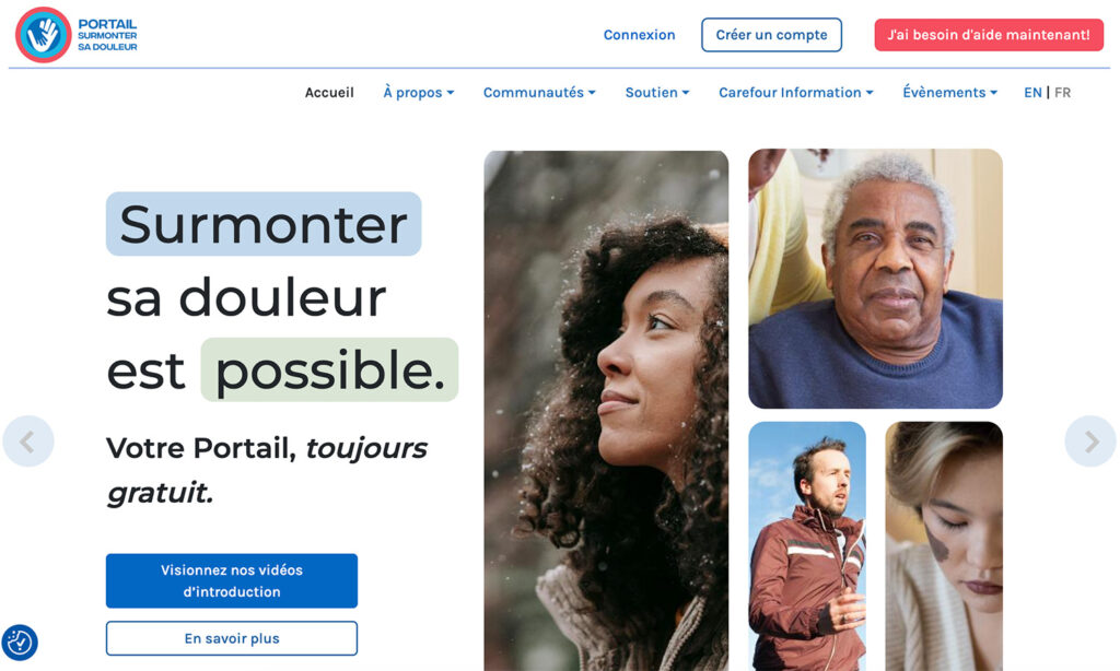 Capture d’écran de la page d’accueil du portail Surmonter sa douleur.